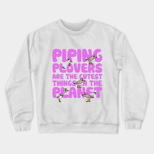 Piping Plovers Are The Cutest Things On The Planet Crewneck Sweatshirt